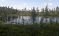 070720131477